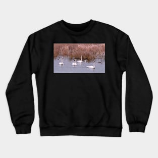 The Swans Crewneck Sweatshirt